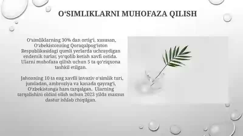 Oʻsimliklar ekologiyasi asoslari 3