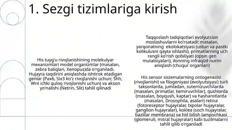 Asab tizimi va sezgi organlari onto-filogenezi 3