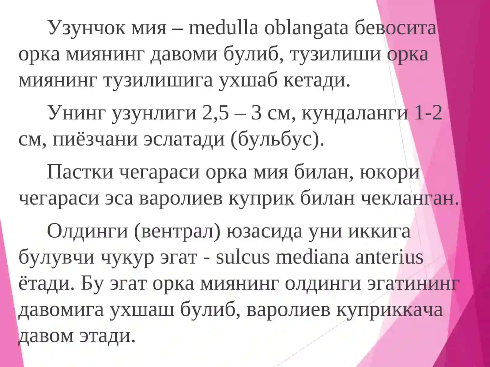 Мия устуни 3