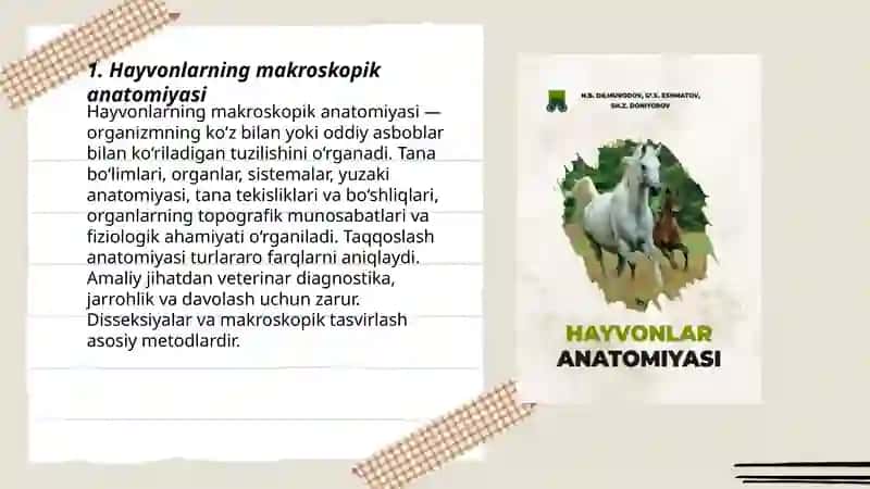 Hayvonlar anatomiyasi va fiziologiyasi 3