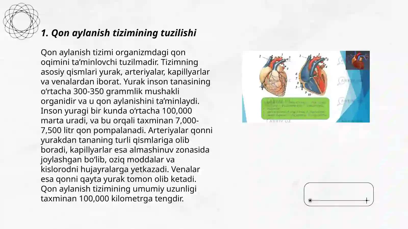 Qon aylanish sistemasining fizik asoslari 3