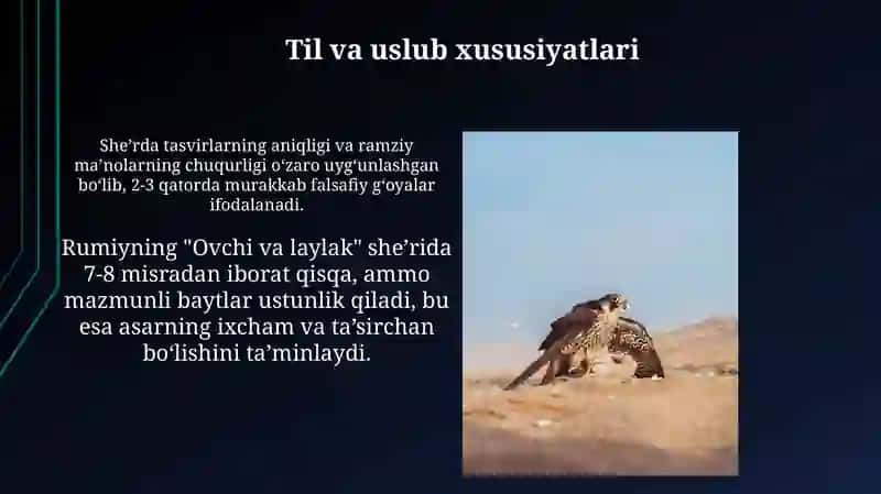 Jaloliddin Rumiy Ovchi va lochin asari 3