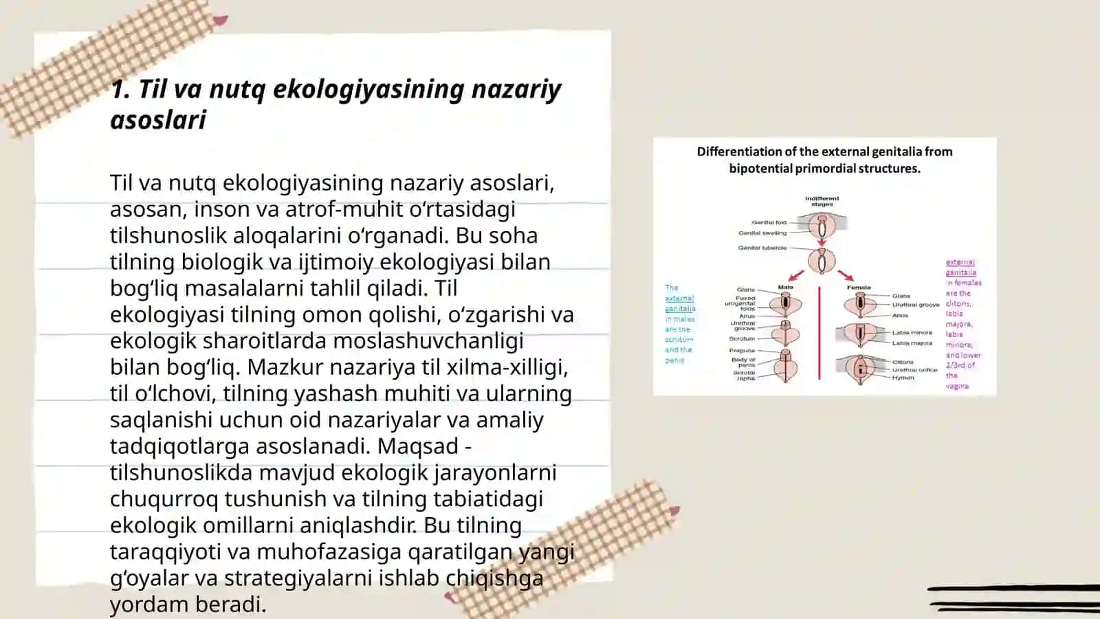 Til va nutq ekologiyasi 3