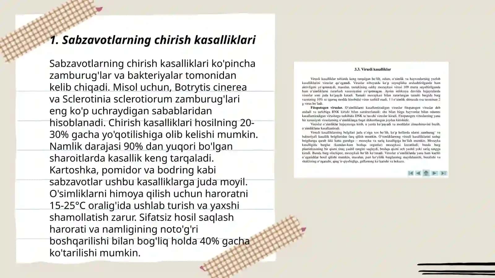 Sabzavotlarni saqlashda uchraydigan kasalliklar va ularni daʼvo choralari 3