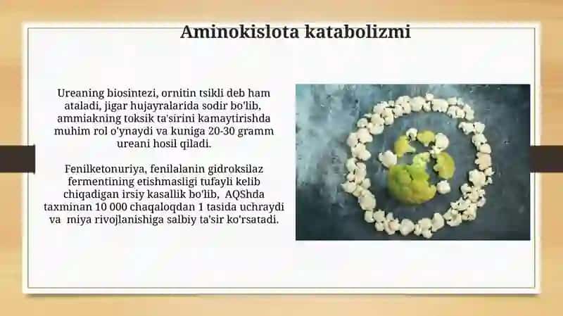 Aminokislota almashinuvi, oqsillar almashinuvi bilan bog'liq bo'lgan kasalliklar 3