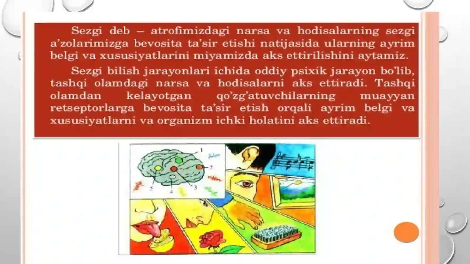SEZGI 3