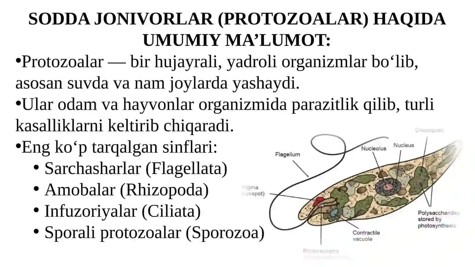 SODDA JONIVORLAR KELTIRIB CHIQARUVCHI KASALLIKLAR VA ULARNI LABORATORIYA DIAGNOSTIKASI 3