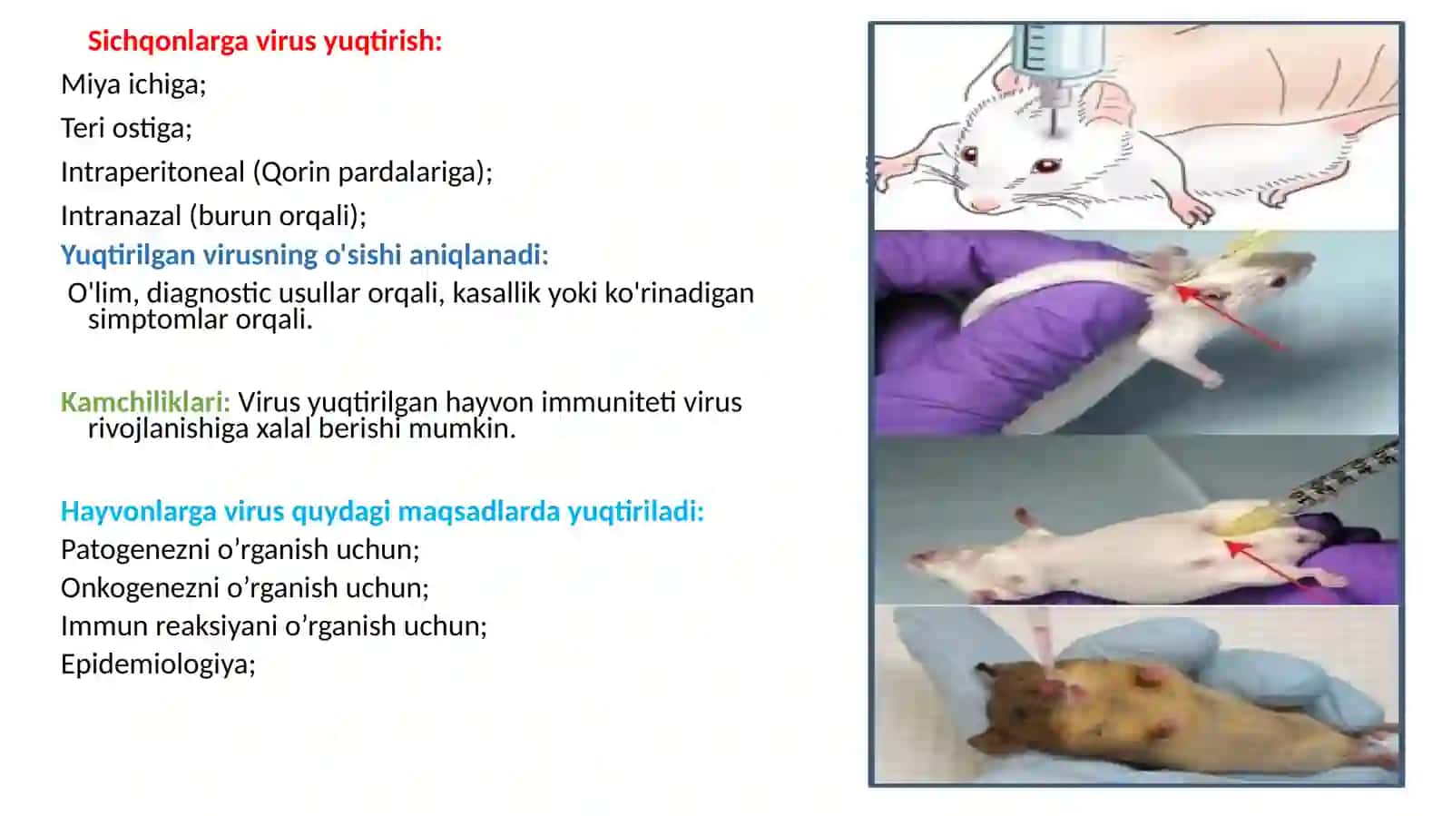 VIRUSOLOGIYADA QO’LLANILADIGAN TADQIQOT USULLARI 3