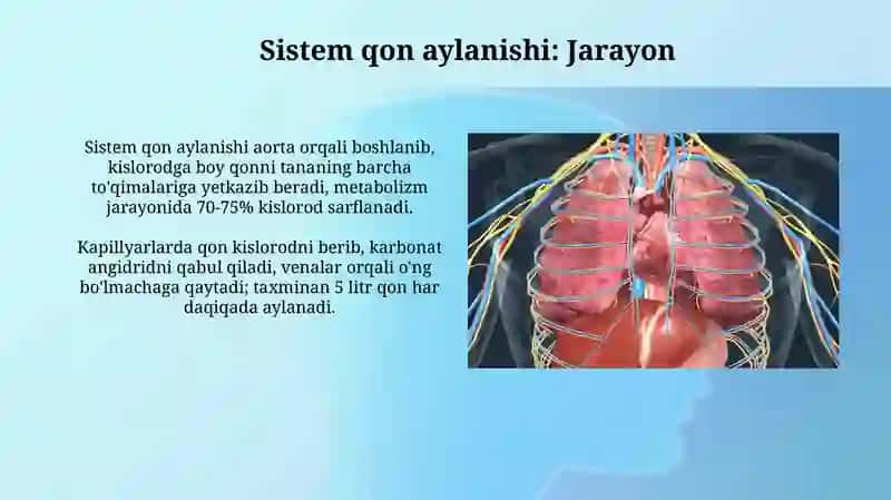 Sistem qon aylanishi 3