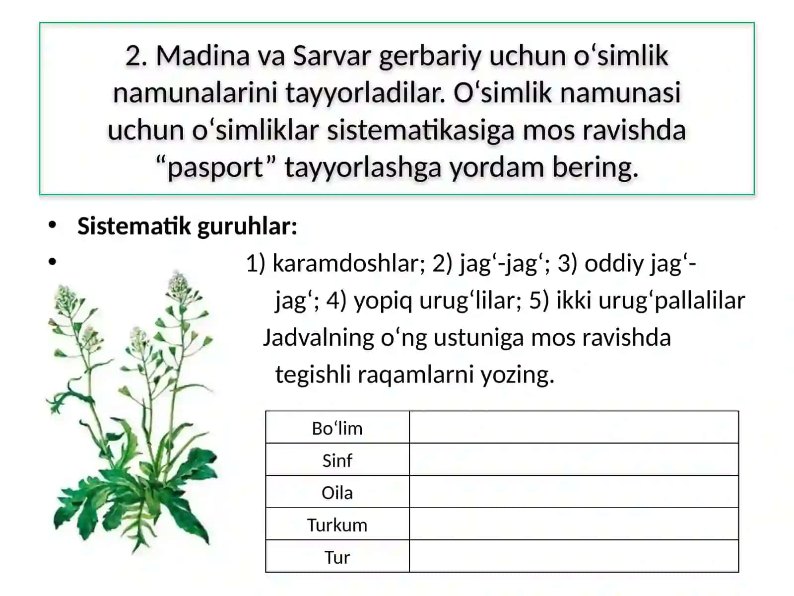 O‘simlikvahayvonlarning o‘xshash va farqli jihatlarini aniqlash topshiriqlari 3