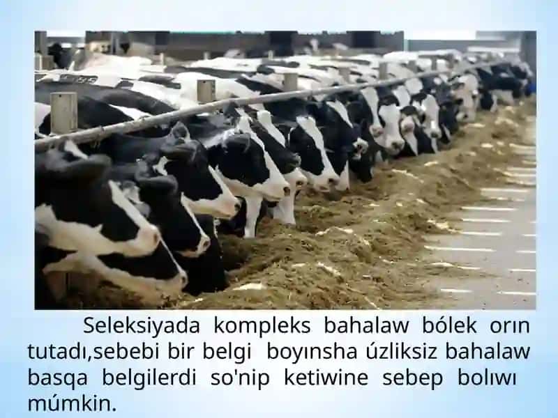 Barliq turdegi sharwa haywanlari yamasa belgileri boyinsha ta'krarlaniwkoeffitsientin du'ziwEshniyazov Jahongir 3