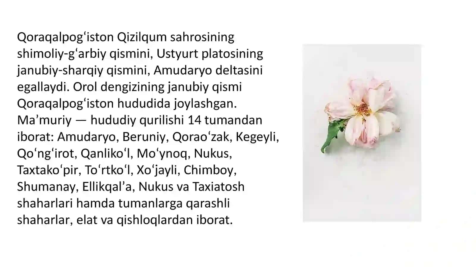 QORAQALPOGʻISTON RESPUBLIKASINING SHAHR JOYLAR GEOGRAFIYASI 3