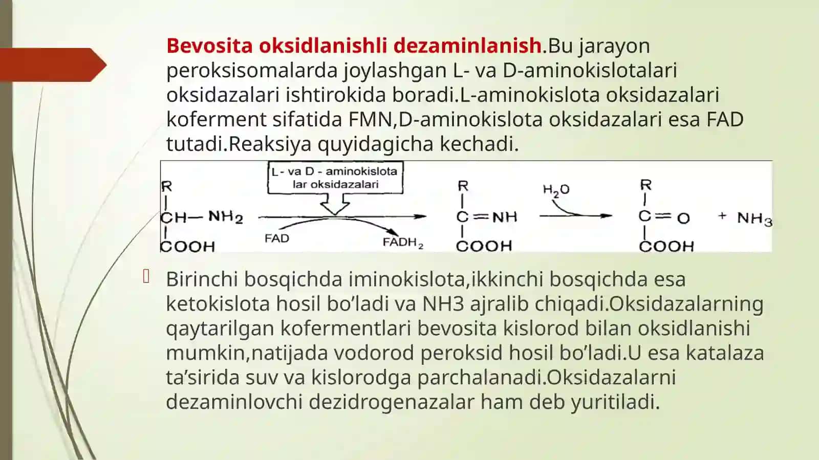 Oqsillar almashinuvi.Oqsillarning hazmlanishi va so'rilishi 3