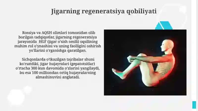Fiziologik va reparatev regeneratsiya 3