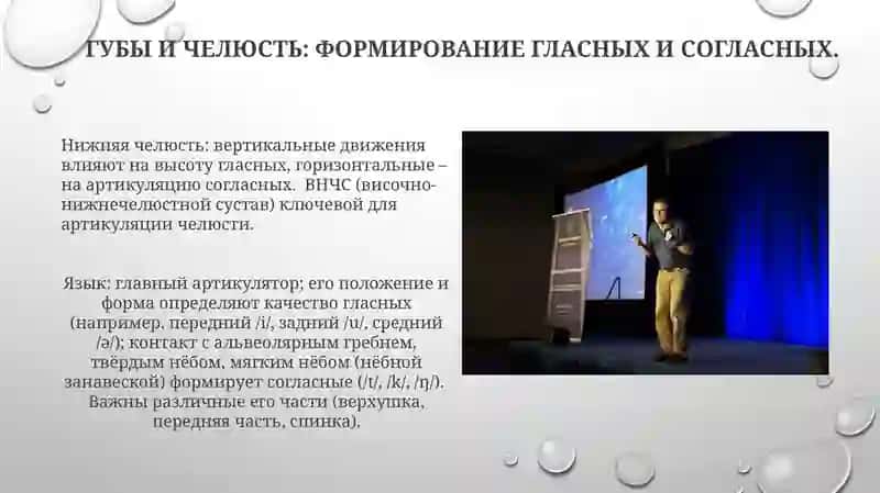 Устройство речевого аппарата и роль органов речи в звукопроизводстве 3