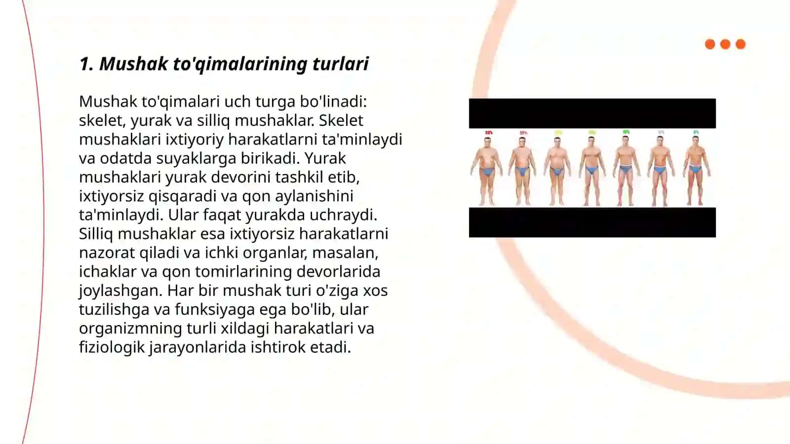 Mushaklar timizimi gisto morfologiyasi 3