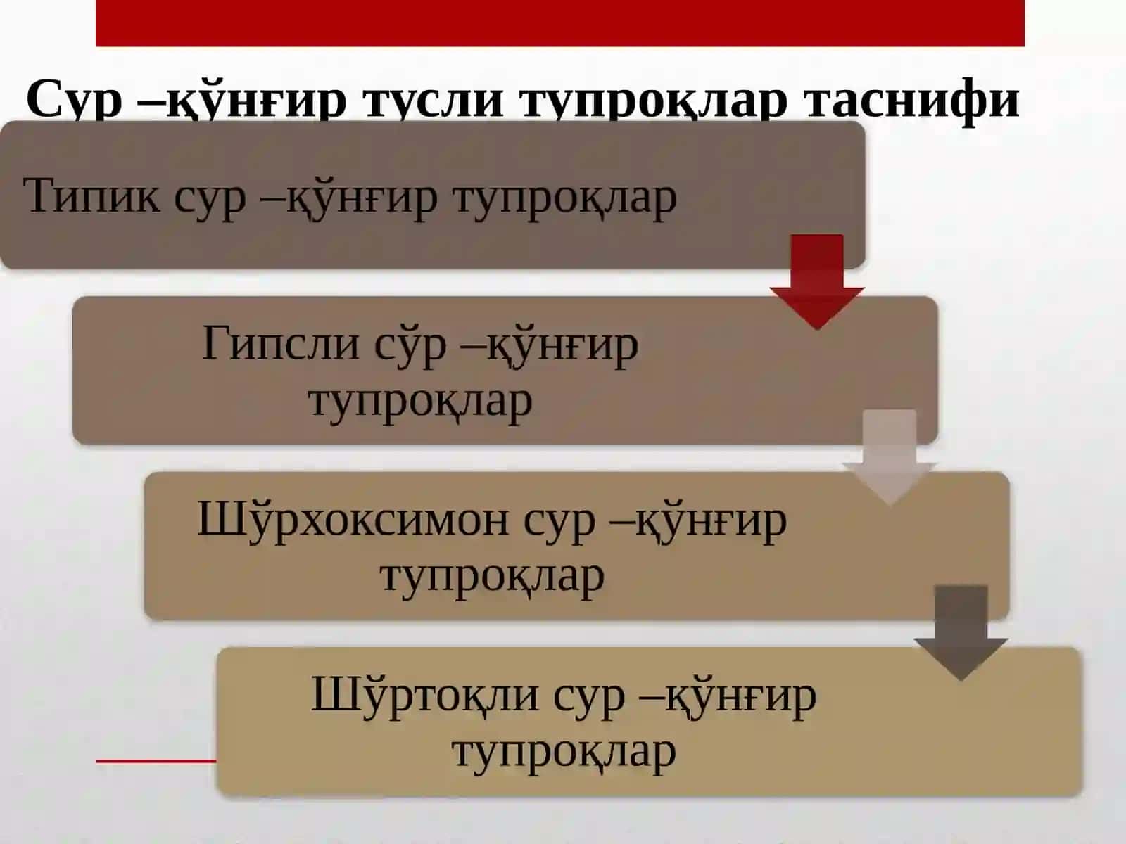 Гидроморф тупроқлар. Чўл зонаси тупроқлари 3