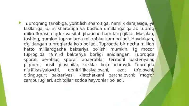 Tuproq mikroflorasi 3
