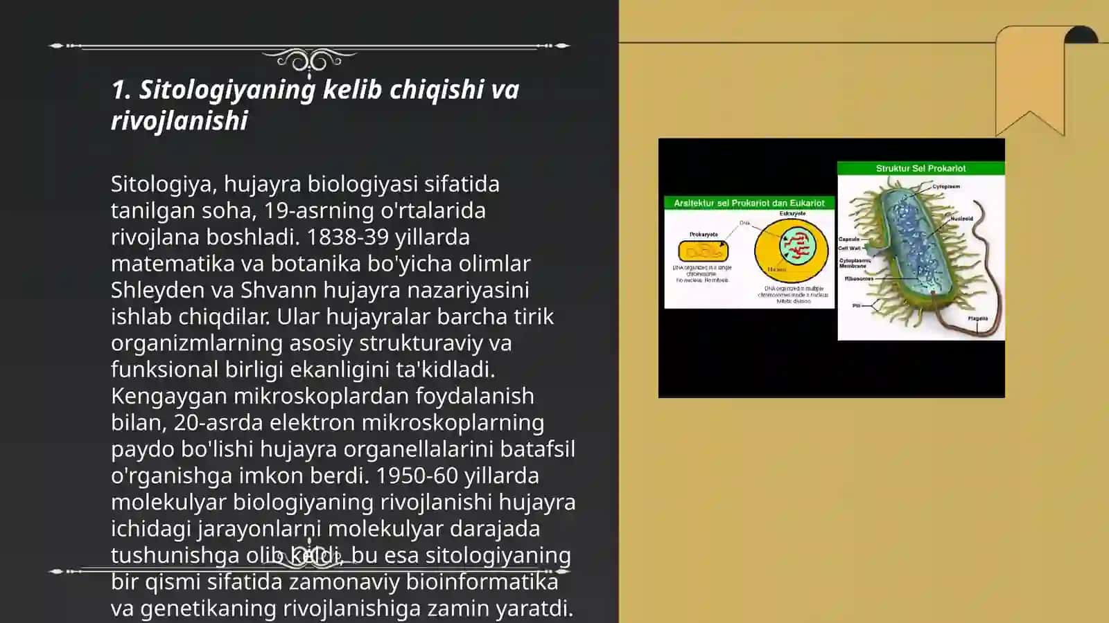 Sitologiya.Optik asboblarni tibbiyotda qo'llanilishi 3