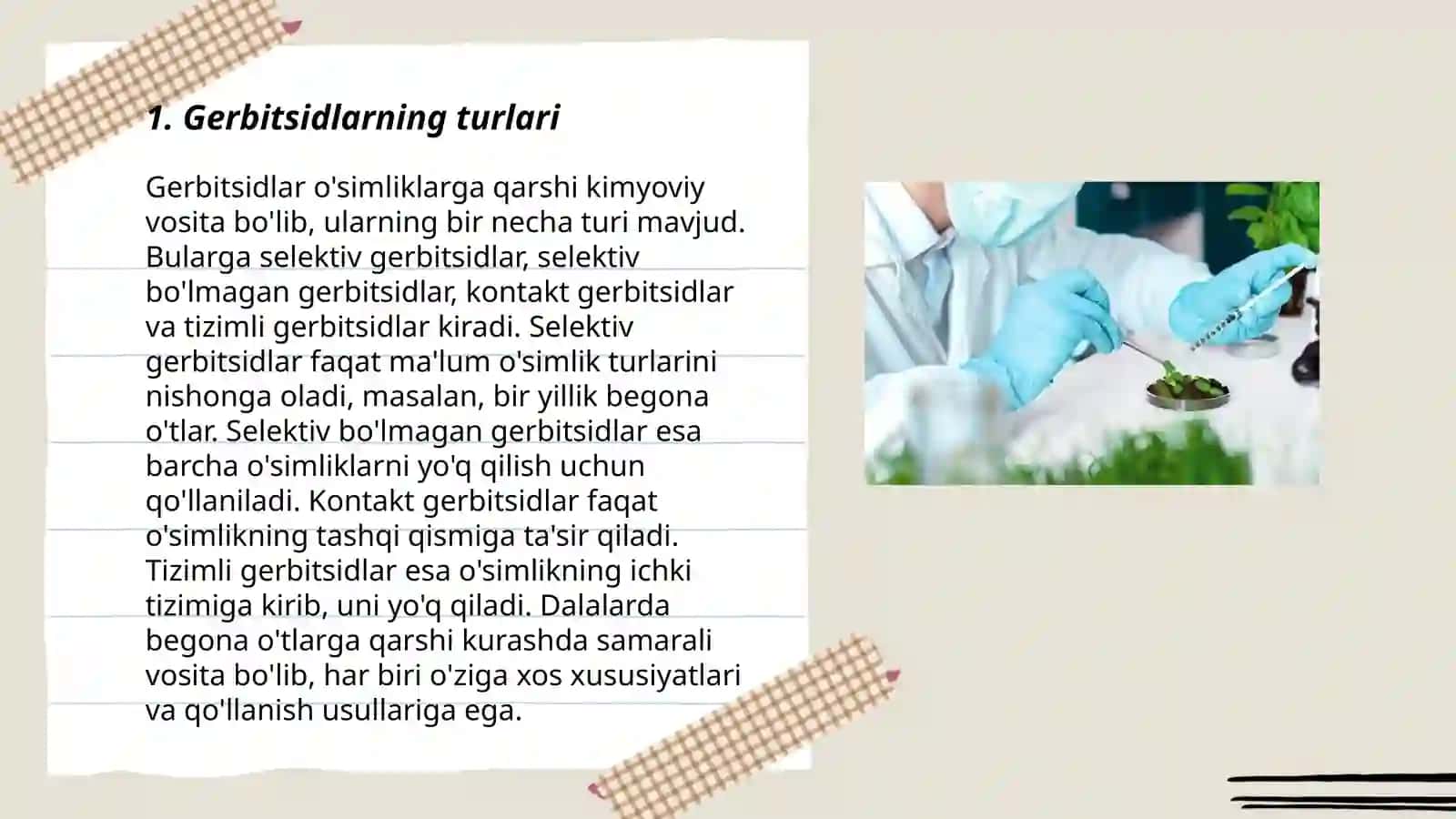 Gerbitsidlar 3