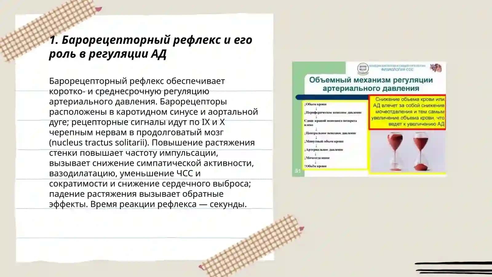 Механизмы регуляции артериального давления 3
