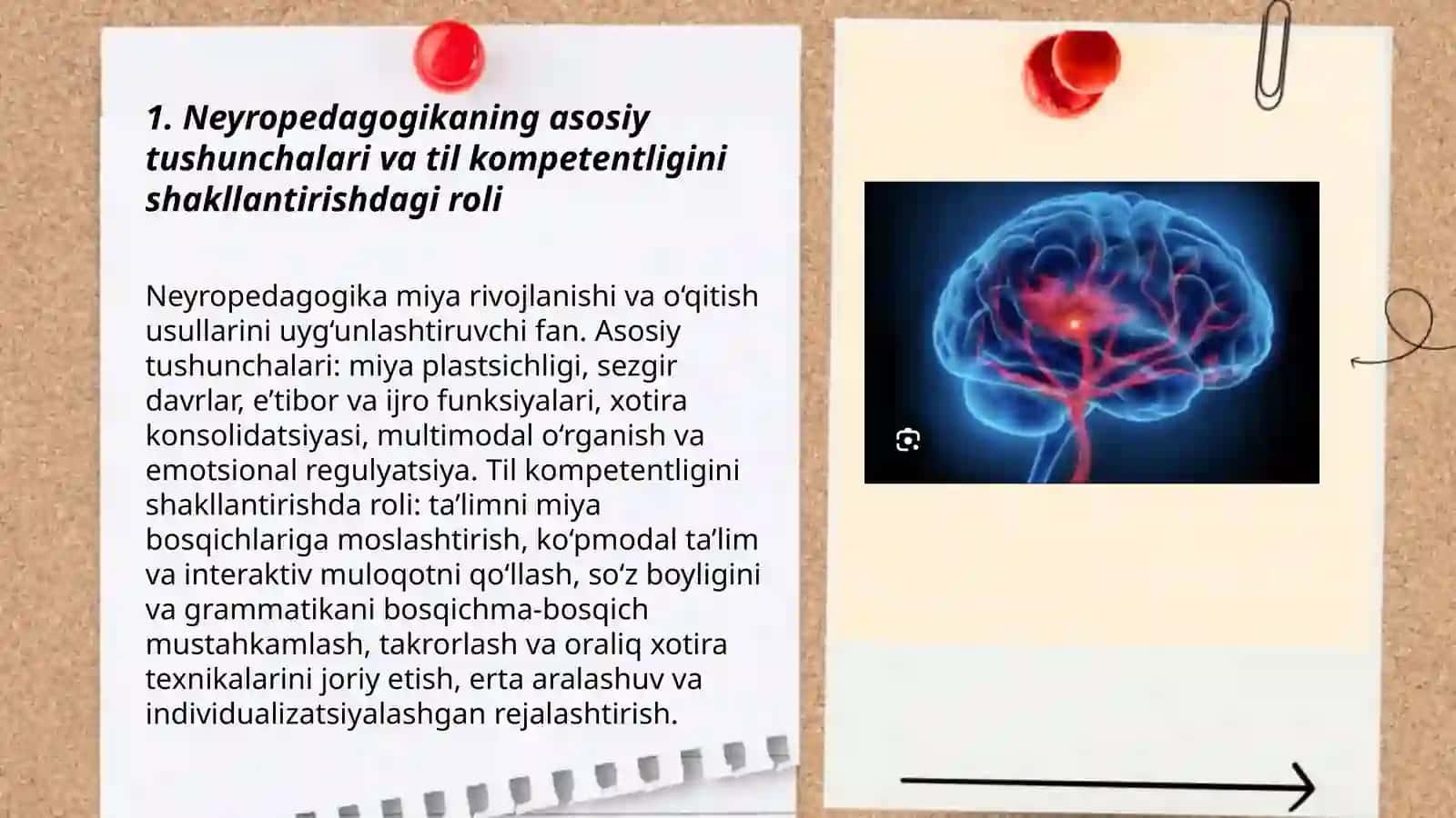 Neyropedagogika va bolaning til borasidagi kampetentlikni shakllantirish 3