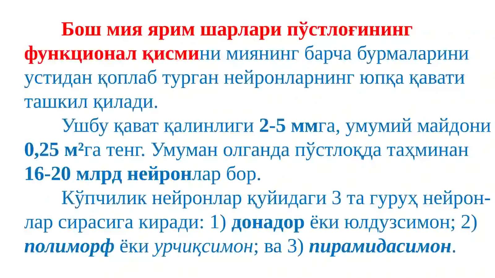 Oliy nerv faoliyati 3