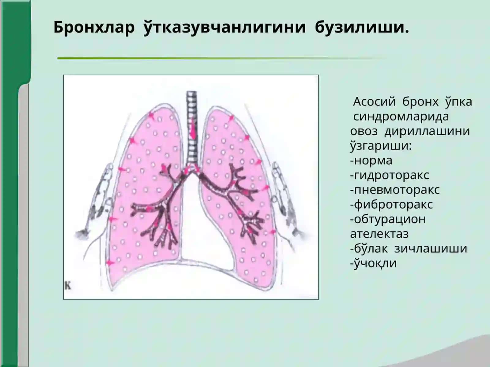 Nafas azolari kasalliklarda asosiy klinik sindromlar. Bronxlar otkazuvchanligi buzilishi (toliq) 3