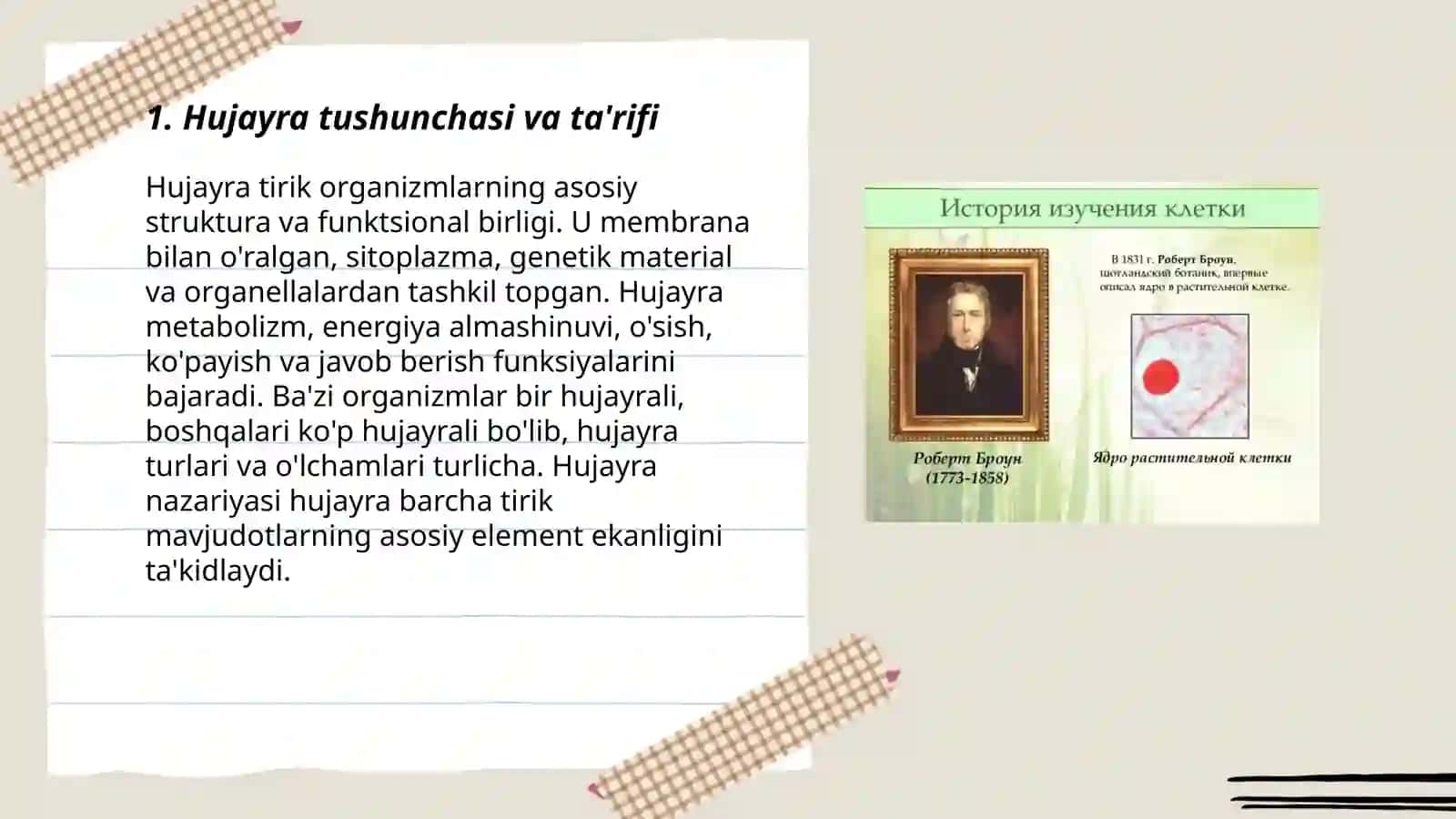 Наука о клетки.История открытия и изучение клетки 3