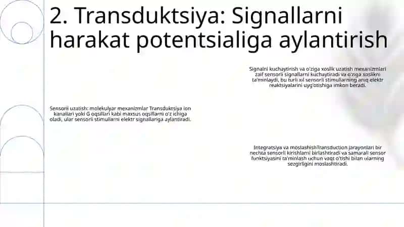 Sensor Tizimlar Faoliyatining Biokimyoviy Asoslari 3