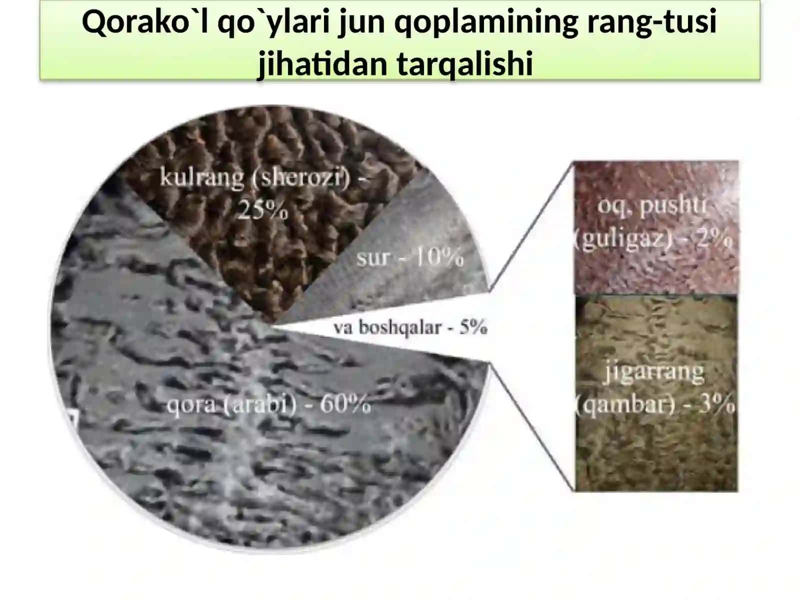 QORAKO`L TERILARIGA ISHLOV BERISH TEXNOLOGIYASI 3