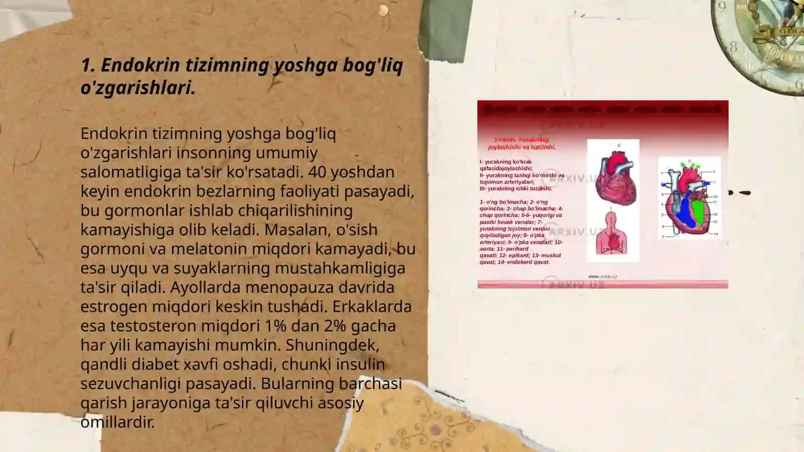 Endokrin tizimining yoshga doir fiziologiyasi va gigiyenasi 3