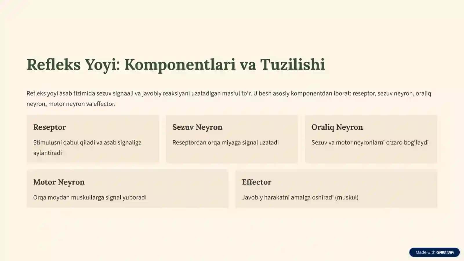 Oddiy Refleks Yoyi va Sezuv Oʻtkazuv Yoʻllari 3