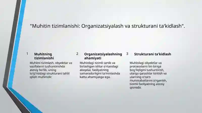 Muhitin tizimlanishi: Organizatsiyalash va strukturani ta'kidlash. 3