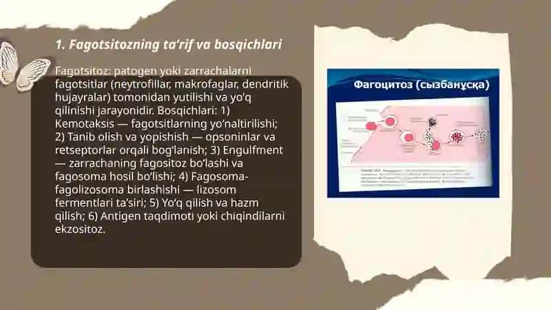Fagotsitoz jarayoni va immun hujayralarning infeksiyaga javobi 3