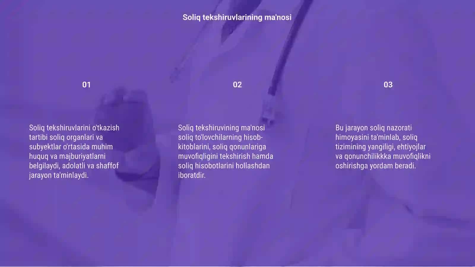 Soliq tekshiruvi 3