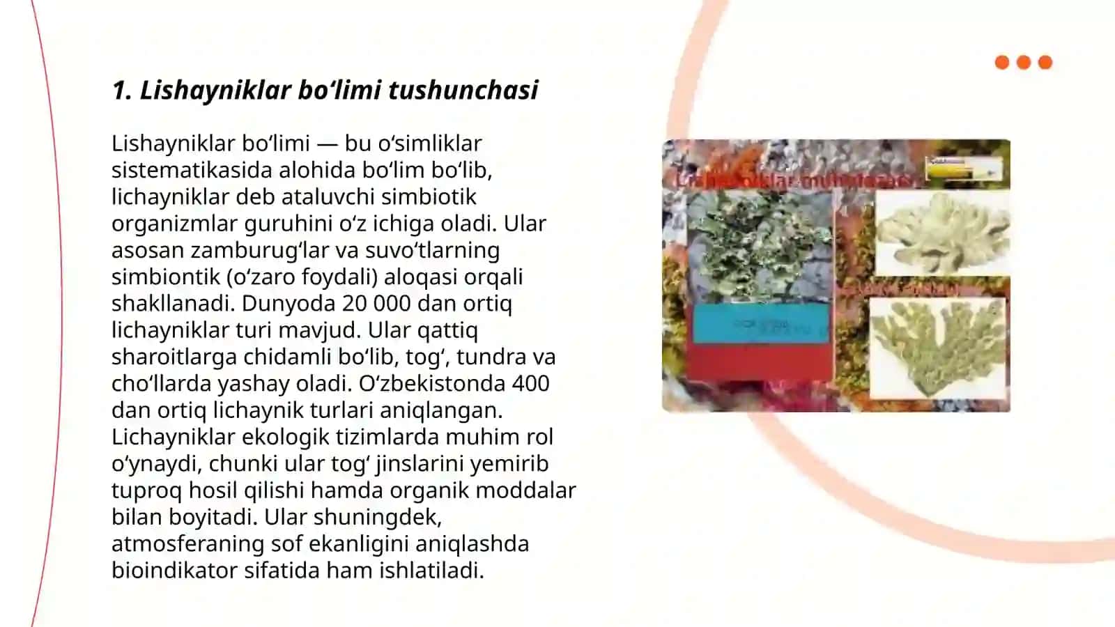 Lishayniklar bo‘limi tushunchasi 3