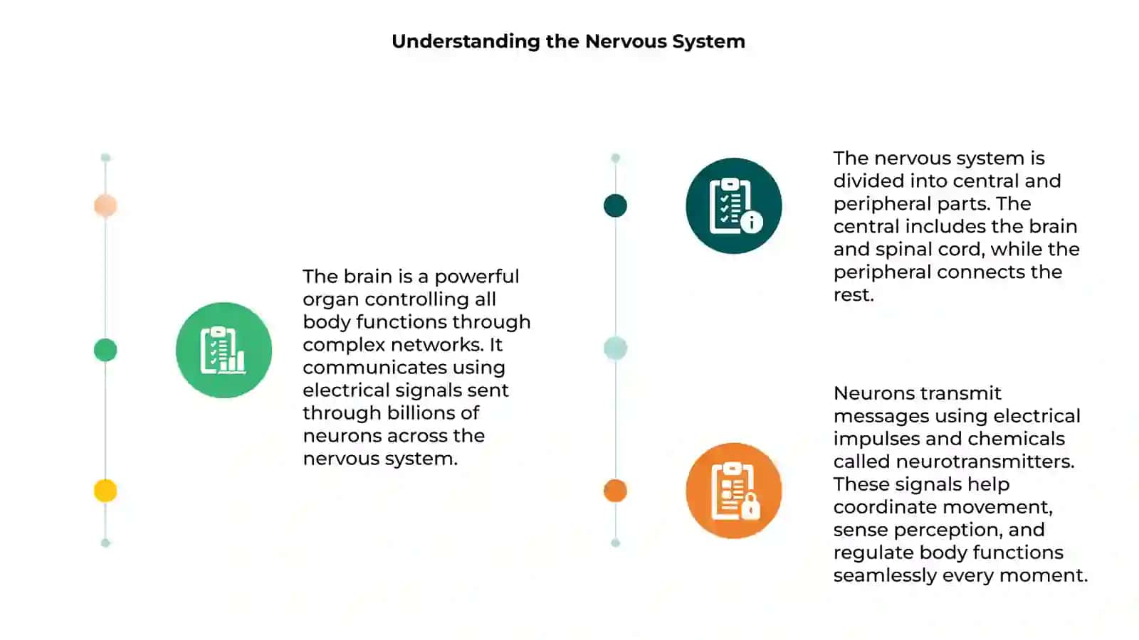 How the Brain Works: An Introduction to the Nervous System 3