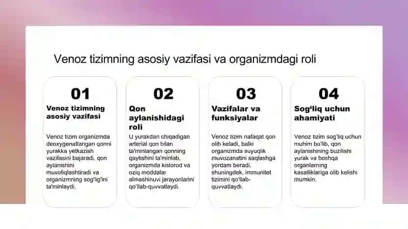 Vena tizimi 3