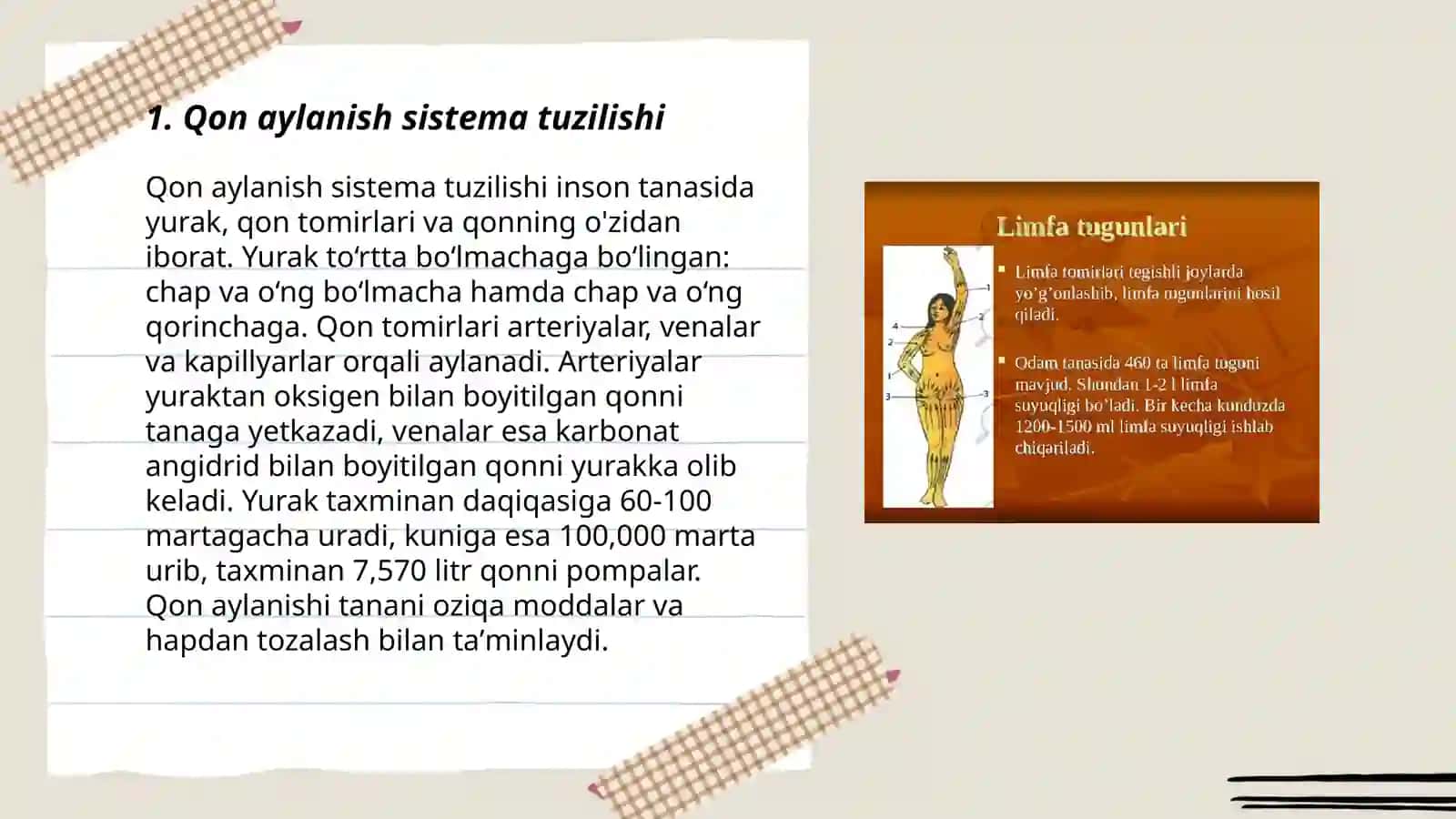 Qon va limfa aylanish sistemasi fizalogiyasi 3