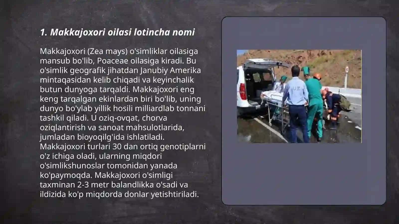 Makkajoxori oilasi lotincha nomi 3