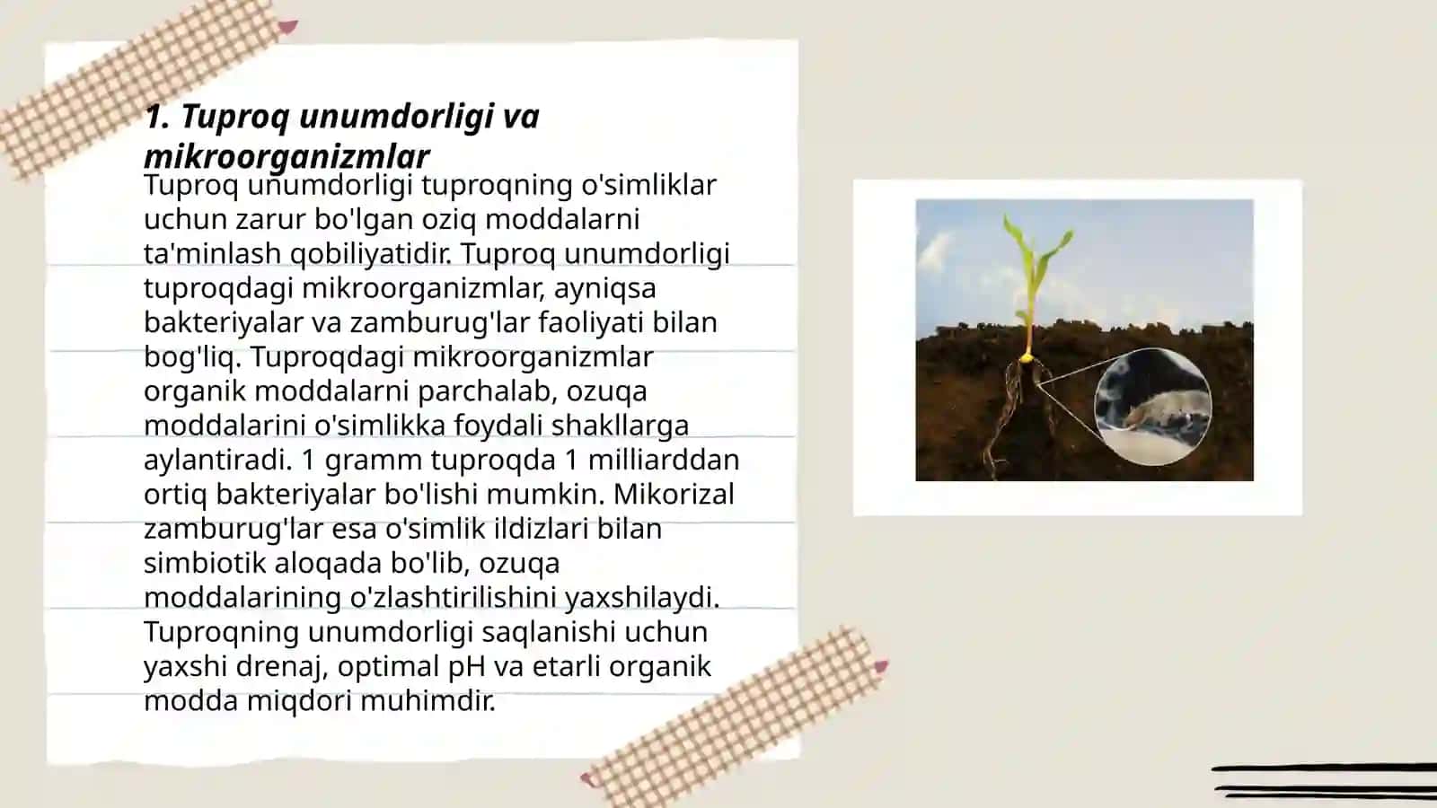 Tuproq unumdorligini oshirishda mikroorganizmlardan foydalanish 3