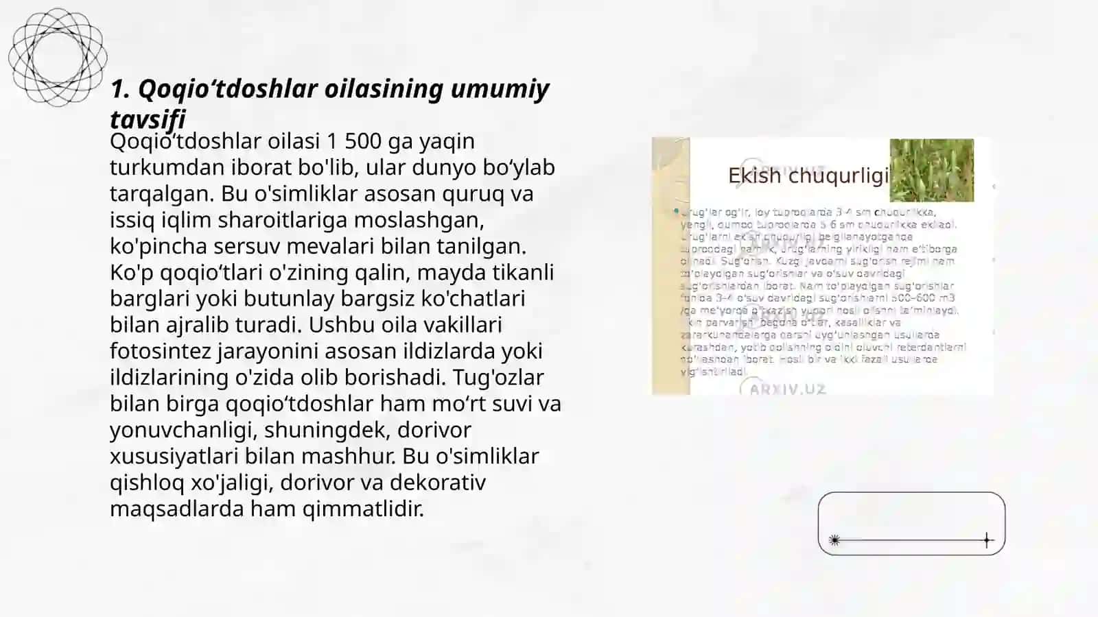 Dorivor oʻsimliklar biologiyasi va ekologiyasi 3