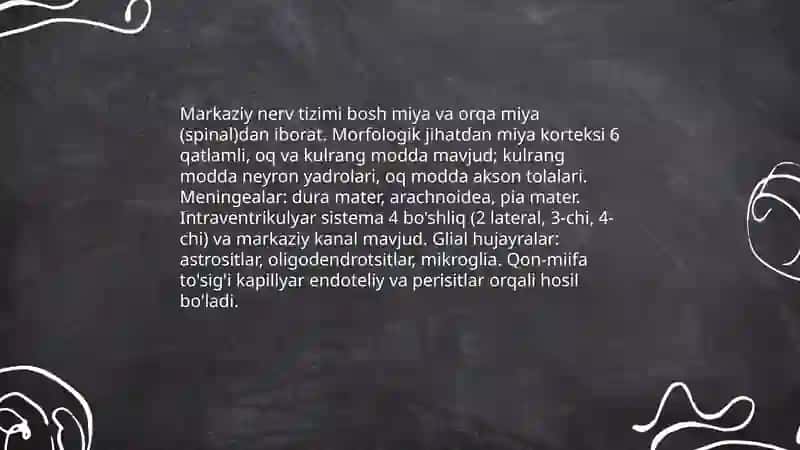 Nerv sistemasining tuzilishi markaziy nerv sestemasi 3