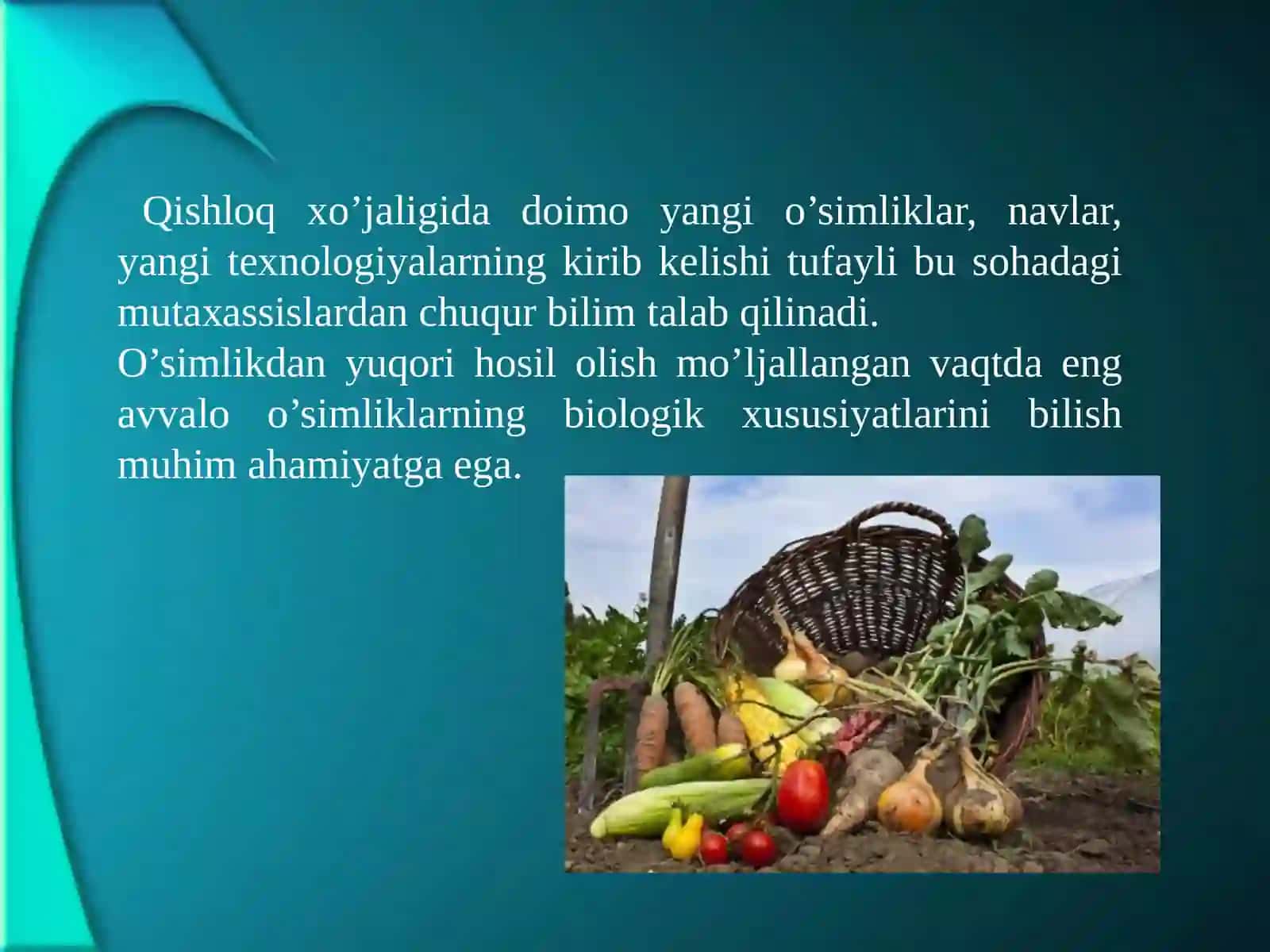 O’simlikshunоslik qishlоq хo’jаligining еtаkchi tаrmоg’i ekаnligi 3