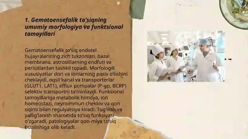 Gematoensefalik toʻsiq gistofiziologiyasi 3