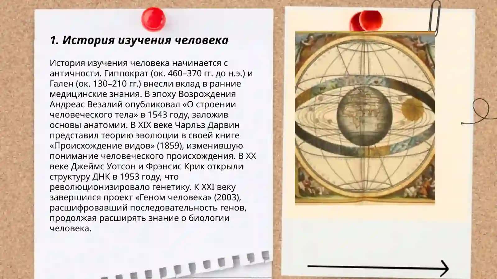 Человек как предмет познания (по книге Б.Г. Ананьева) 3