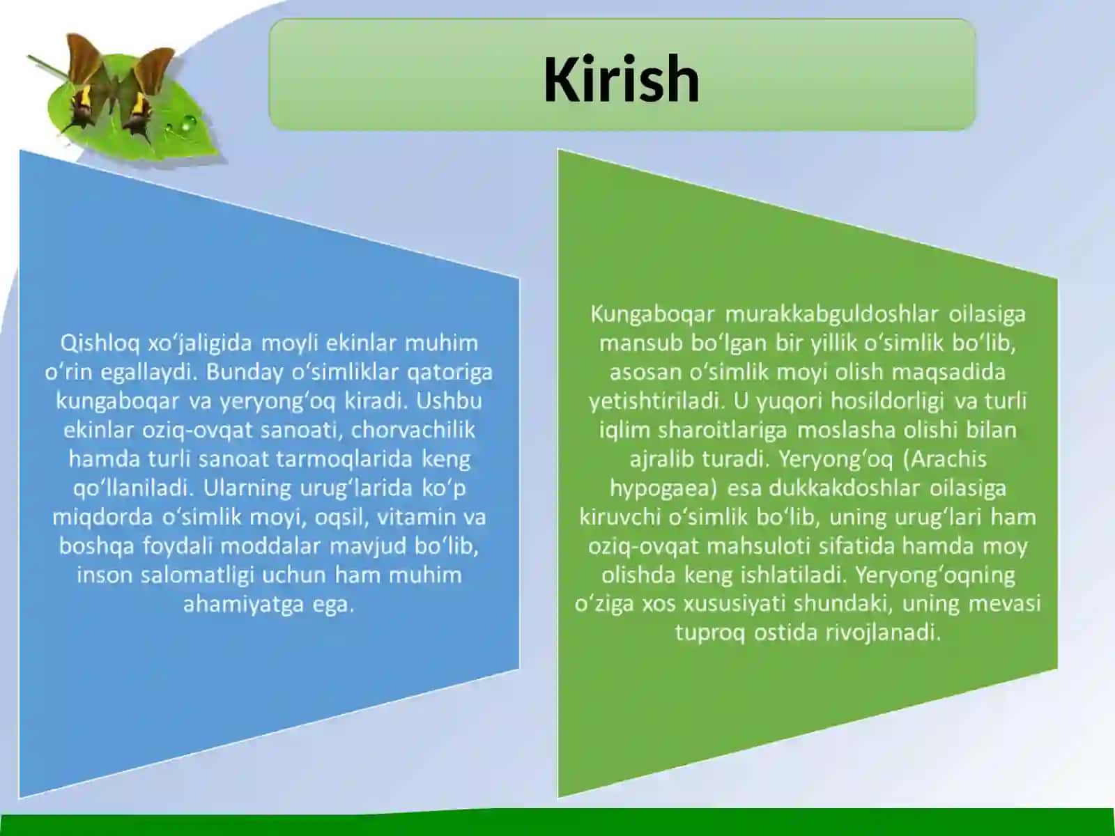 Kungaboqar va yeryong‘oqning sistematikasi va morfologiyasi 3