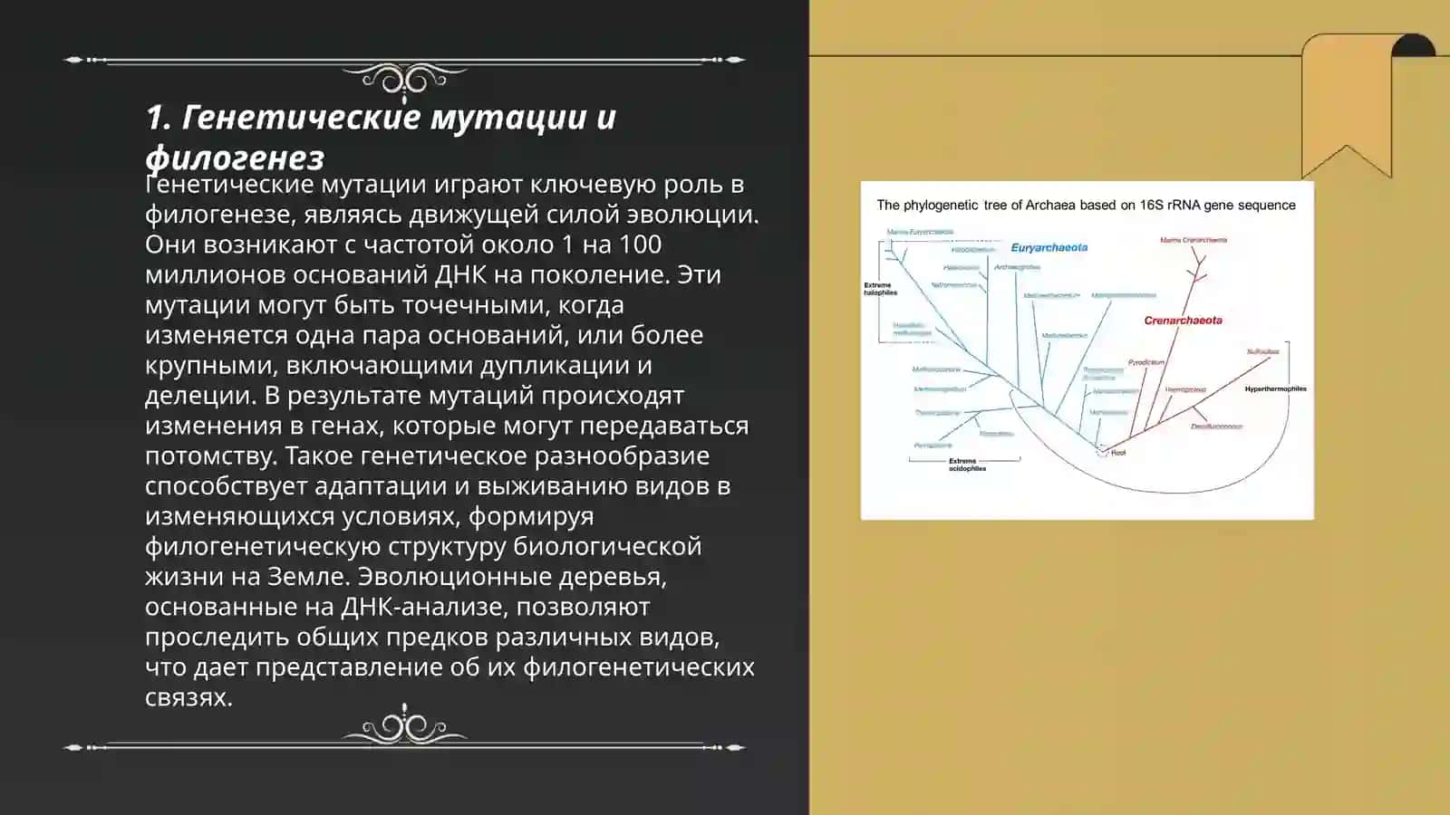 Филогенетические дефекты человеческого развития 3