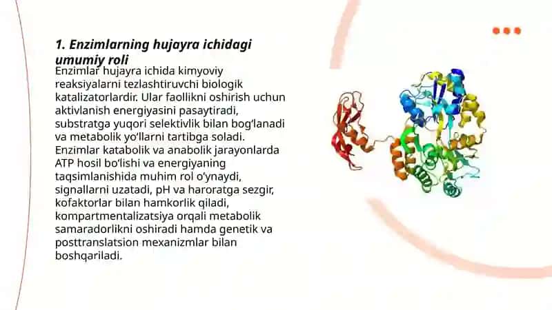 Fermentlaming hujayra ishidagi roli 3